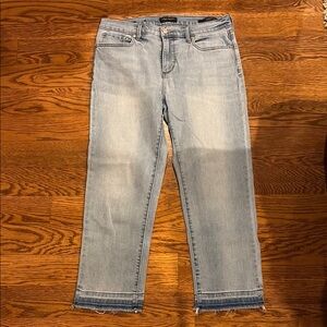 Banana Republic Light Blue Denim Jeans